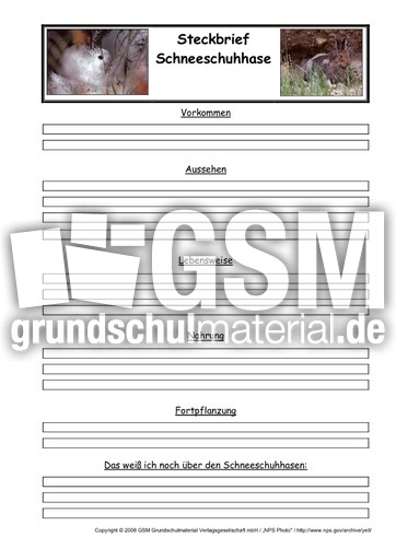 Schneeschuhhase-Steckbriefvorlage.pdf